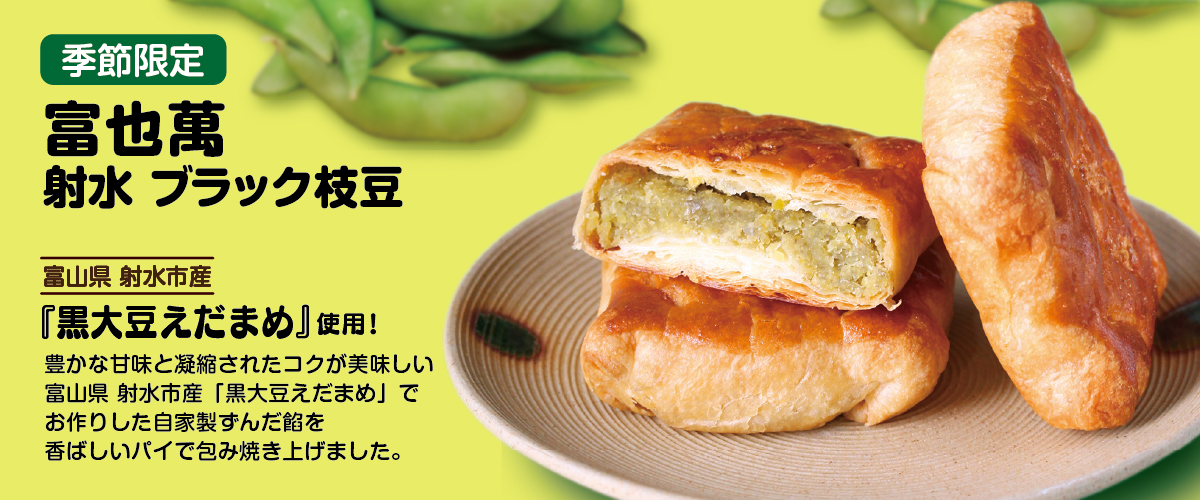 toyaman_edm_1200x500.jpg